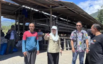 Wawali Kota Palu Imelda Liliana Muhidin meninjau peternakan ayam di Pengawu, Sabtu (2/5/2026). (©Prokopim Setda Kota Palu/Ica)