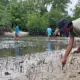 Pemuda Oncone Raya Parigi Moutong Tanam 2.600 Mangrove
