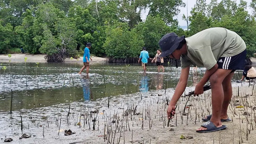 Sejumlah pemuda Oncone Raya menanam mangrove di pantai, Minggu (17/5/2026). (© ROA Sulteng)