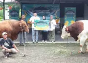 Telkomsel Salurkan 590 Hewan Kurban ke Seluruh Indonesia