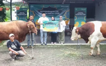 Penyerahan hewan kurban oleh Telkomsel. (©Telkomsel)