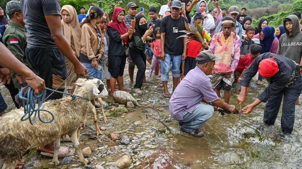Pemuka adat menyembelih hewan pada ritual Morra Keke di Desa Oloboju, Sigi, Sulawesi Tengah, Kamis (4/6/2026). (©bmzIMAGES/Basri Marzuki)