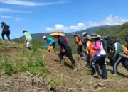 Kelompok perempuan berjalan menuju hamparan Pampa. (©Iwan Lapasere)