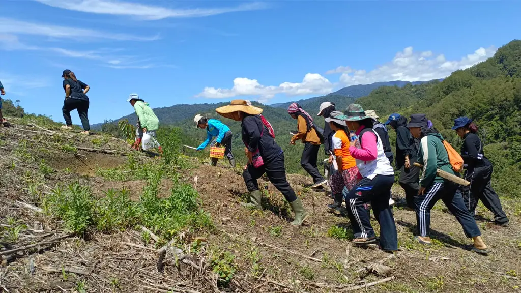 Kelompok perempuan berjalan menuju hamparan Pampa. (©Iwan Lapasere)