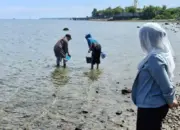 Wakil Wali Kota Palu Buka Lomba Neoti di Pantai Tondo