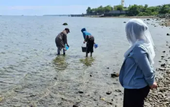Wakil Wali Kota Palu Buka Lomba Neoti di Pantai Tondo