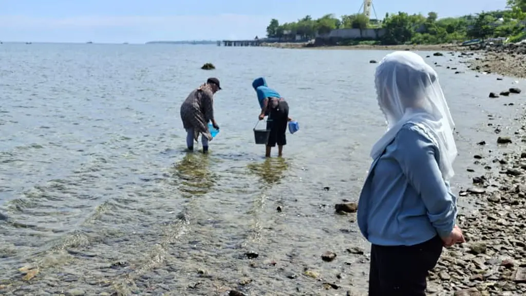 Wawali Imelda Liliana Muhidin (kanan) memperhatikan warga yang melakukan "neoti" atau menangkap ikan kecil di Pantai Tondo, Palu, Selasa (16/6/2026). (©Prokopim Setda Kota Palu/Jufri)