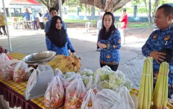 Wawali Imelda Tinjau Pasar Tani, Wadah Pemasaran Produk Pertanian