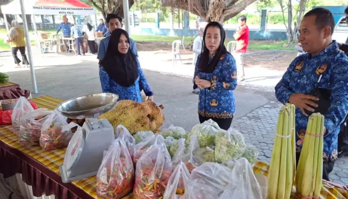 Wawali Imelda Tinjau Pasar Tani, Wadah Pemasaran Produk Pertanian