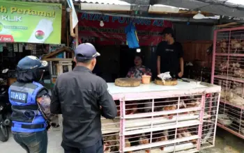 Terminal Lama Pasar Inpres Manonda Dialihkan Jadi Pasar Tradisional