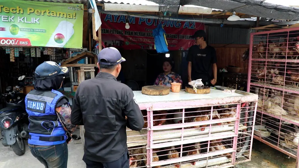 Pendataan pedagang Pasar Inpres Manonda oleh lintas OPD, Kamis (11/6/2026). (©Diskominfosantik/Rian)