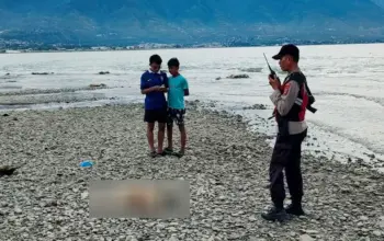 Mayat Tanpa Identitas Ditemukan di Pantai Talise Palu
