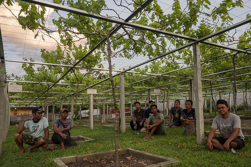 Duyu Bangkit, Kelompok Tani Pengangguran yang Sukses Berkebun Anggur