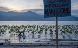 Ilustrasi pengurangan dampak perubahan iklim dengan konservasi mangrove. (Foto: bmzIMAGES/Basri Marzuki)