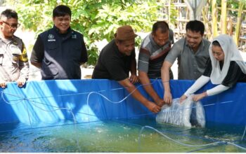 Wakil Wali Kota Palu Tebar Benih Ikan Nila Bioflok di Tondo dan Kabonena