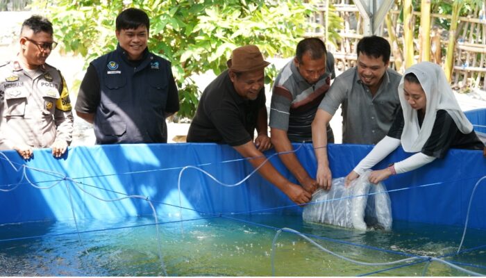 Wakil Wali Kota Palu Tebar Benih Ikan Nila Bioflok di Tondo dan Kabonena