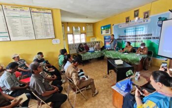 Hadapi Perubahan Iklim, Agroforestri Kakao-Durian Didorong di Lindu
