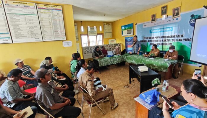 Hadapi Perubahan Iklim, Agroforestri Kakao-Durian Didorong di Lindu