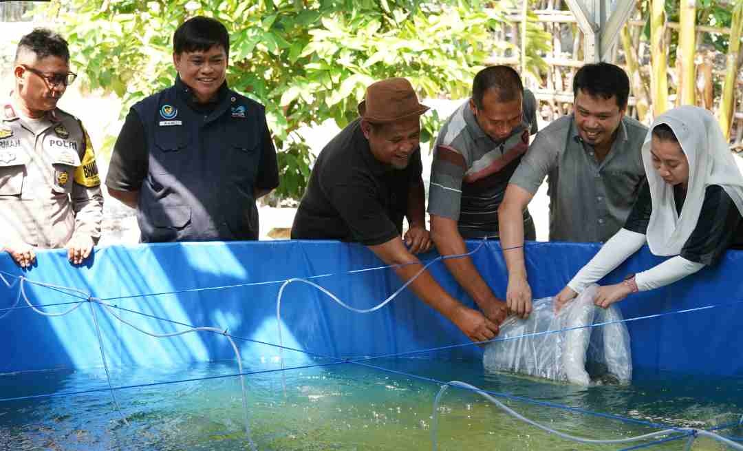 Budidaya Bioflok Palu
